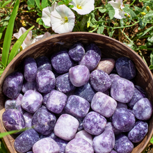 Load image into Gallery viewer, Gorgeous Purple Crystal, Lepidolite in a Coconut Bowl - Down To Earth
