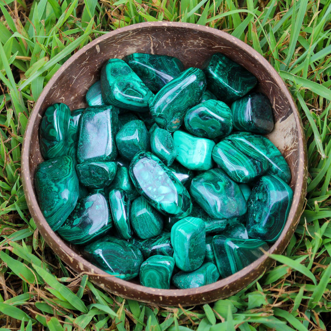 Tumbled Malachite in a Coconut Bowl - Down To Earth