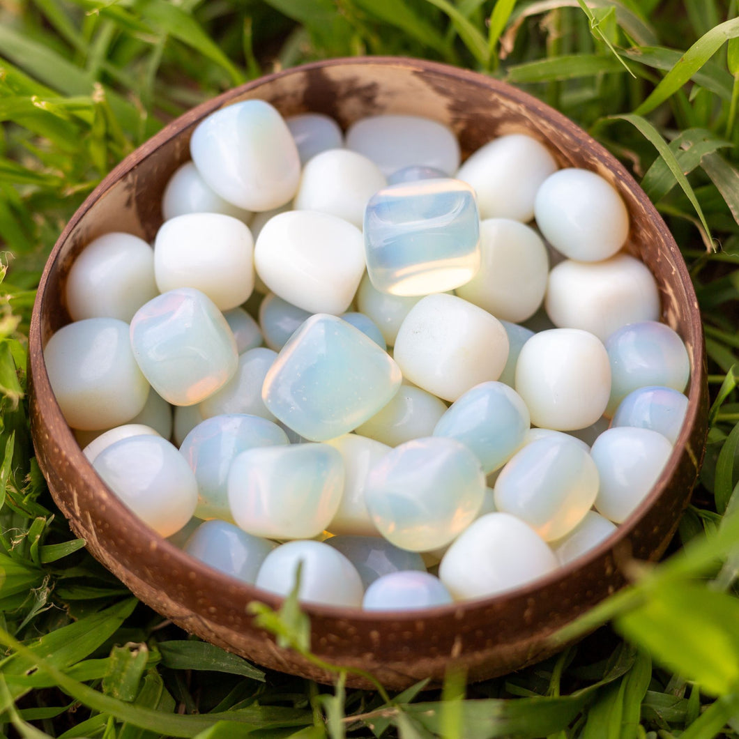 Tumbled Opalite in a Coconut Bowl - Down To Earth