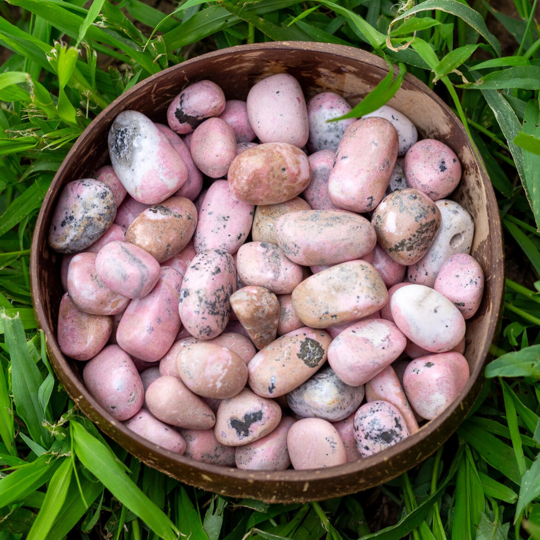 Tumbled Rhodonite in a Coconut Bowl - Down To Earth