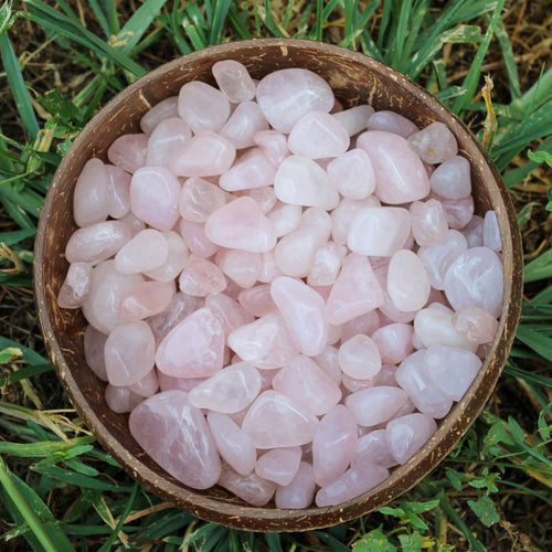 Tumbled Rose Quartz in a Coconut Bowl - Down To Earth