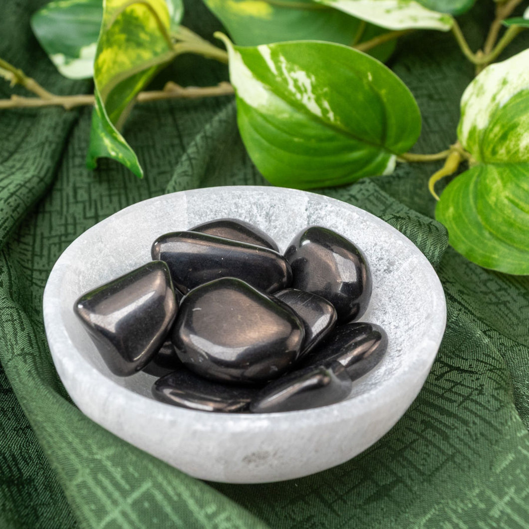 Tumbled Shungite in Bowl - Down To Earth