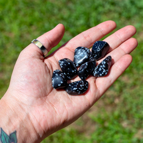 Tumbled Snowflake Obsidian in the Palm of a Hand - Down To Earth