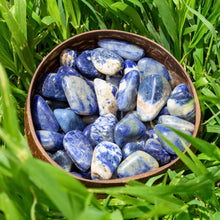 Load image into Gallery viewer, Tumbled Sodalite in a Coconut Bowl - Down To Earth
