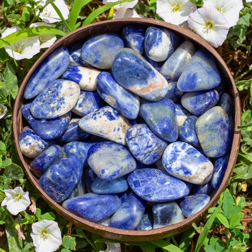 Tumbled Sodalite in a Coconut Bowl - Down To Earth