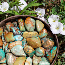 Load image into Gallery viewer, Tumbled Turquoise in Coconut Bowl - Down To Earth
