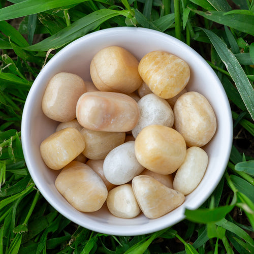 Tumbled Yellow Calcite in a white bowl - Down To Earth