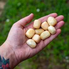 Load image into Gallery viewer, Tumbled Yellow Calcite in the Palm of a Hand - Down To Earth
