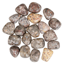 Load image into Gallery viewer, Tumbled White Leopardskin Jasper on a white background - Down to Earth
