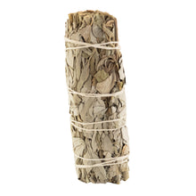 Load image into Gallery viewer, White Sage Smudge Stick 1ct 1x4 displayed on a white background - Down to Earth
