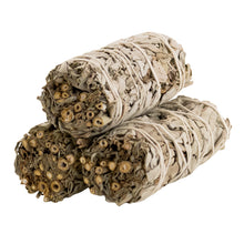 Load image into Gallery viewer, White Sage Smudge Stick 1x4 group photo displayed on a white background - Down to Earth
