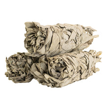 Load image into Gallery viewer, White Sage Smudge Stick 2x5 group photo displayed on a white background - Down to Earth
