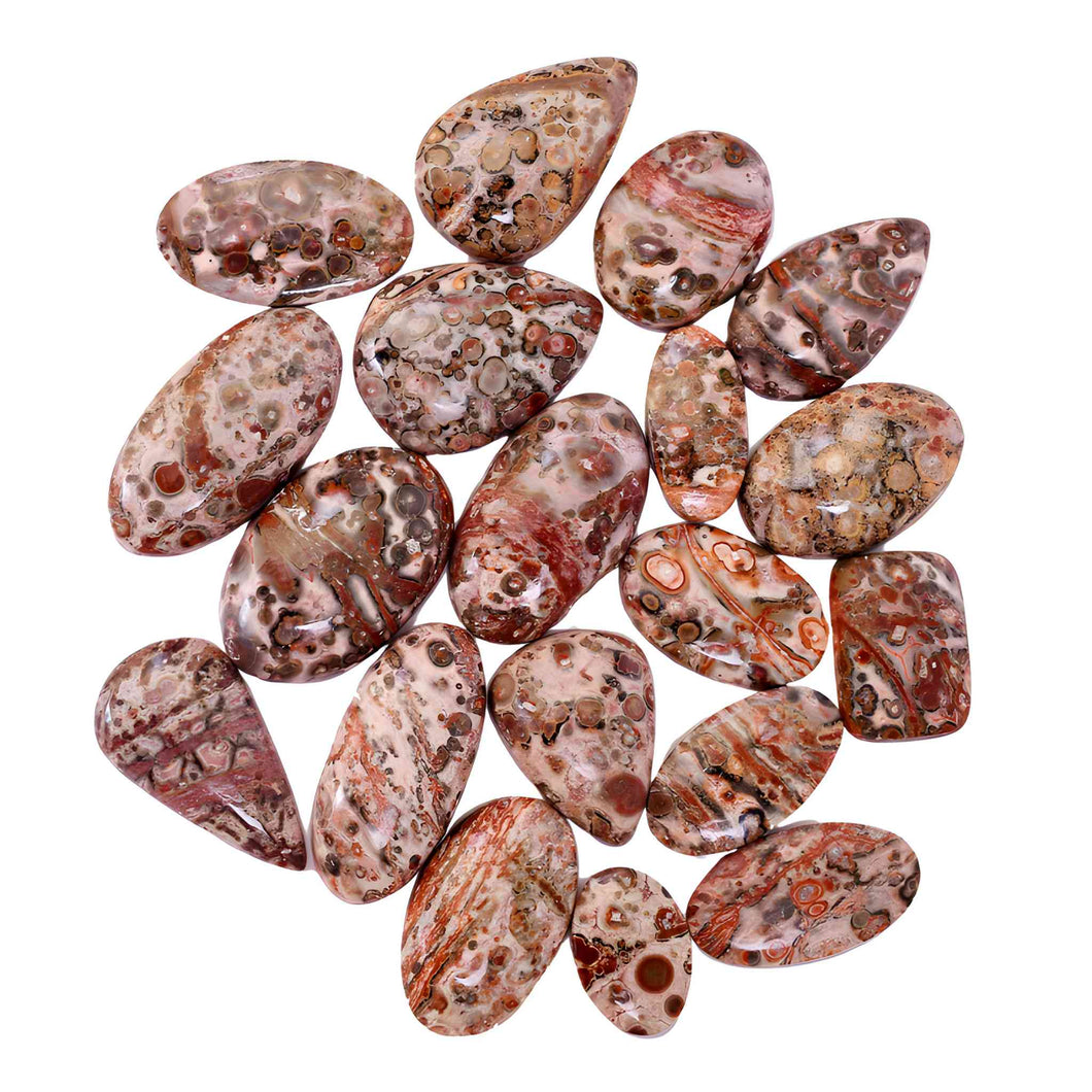 Wholesale 1lb. Tumbled Leopardskin Jasper - Down To Earth