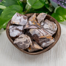 Load image into Gallery viewer, Zebra Jasper in a coconut shell - Down to Earth
