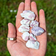 Load image into Gallery viewer, &quot;Eight pieces of rough pink tourmaline in matrix held in an open palm with a greenery background,&quot; - Down to Earth.
