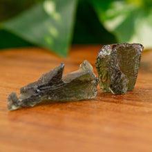 Load image into Gallery viewer, "Two pieces of rough Moldavite on a wooden base with green foliage in the background. This crystal is widely used in the metaphysical community as a transformative piece," - Down to Earth.
