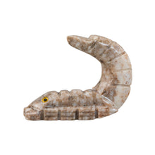 Load image into Gallery viewer, &quot;Left side of a small stone figurine in the shape of a scorpion,&quot; - Down to Earth.
