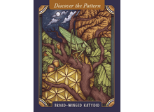 Load image into Gallery viewer, The Illustrated Bestiary Collectible Box Set - Down To Earth Co.
