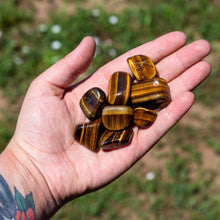 Load image into Gallery viewer, &quot;Hand holding tiger&#39;s eye stones with a natural outdoor background,&quot; - Down to Earth.
