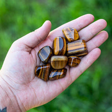 Load image into Gallery viewer, &quot;Hand holding tiger&#39;s eye stones with a blurred green background,&quot; - Down to Earth.
