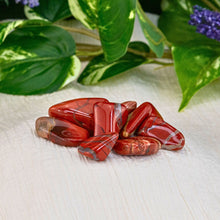 Load image into Gallery viewer, &quot;A pile of red jasper crystals on a cream-colored sheet in front of green foliage,&quot; - Down to Earth.
